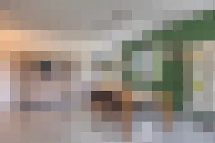 Wieldijksgaarden 5 Borne thumbnail 17