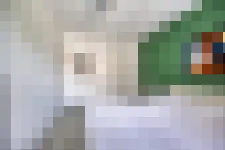 Wieldijksgaarden 5 Borne thumbnail 27