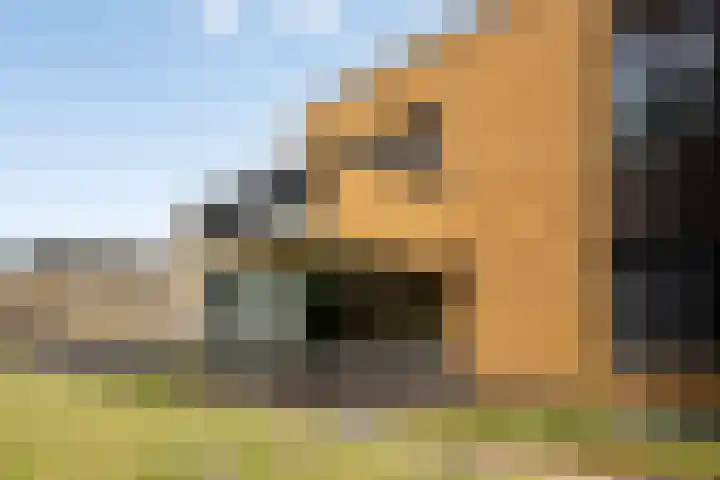 Wieldijksgaarden 5 Borne thumbnail 36