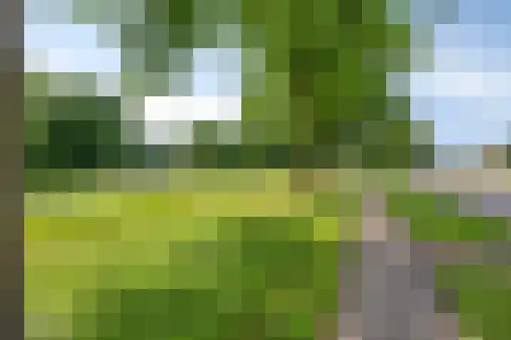Wieldijksgaarden 5 Borne thumbnail 37