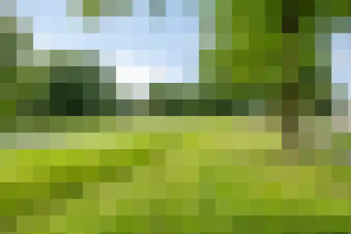 Wieldijksgaarden 5 Borne thumbnail 38