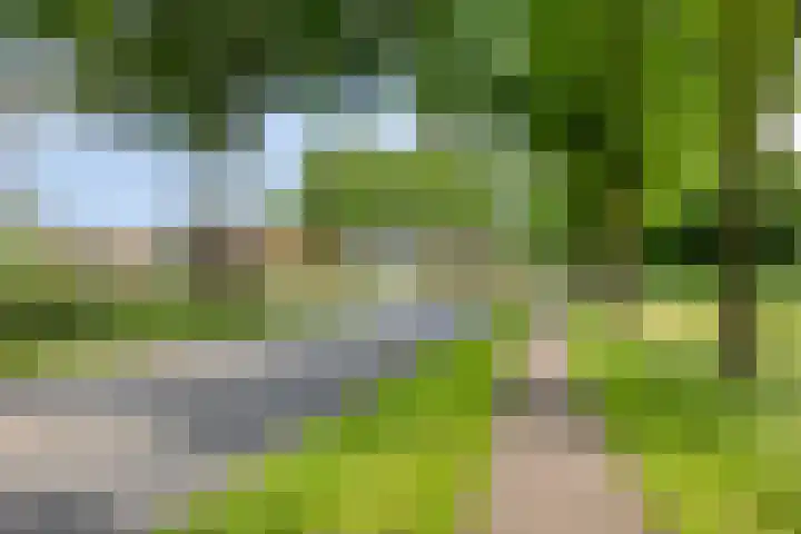 Wieldijksgaarden 5 Borne thumbnail 39