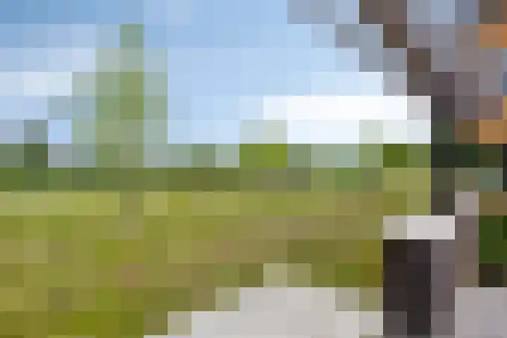 Wieldijksgaarden 5 Borne thumbnail 45