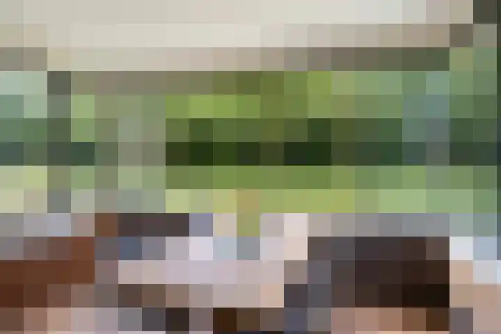 Wieldijksgaarden 5 Borne thumbnail 6