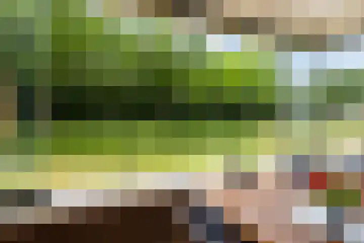 Wieldijksgaarden 5 Borne thumbnail 7