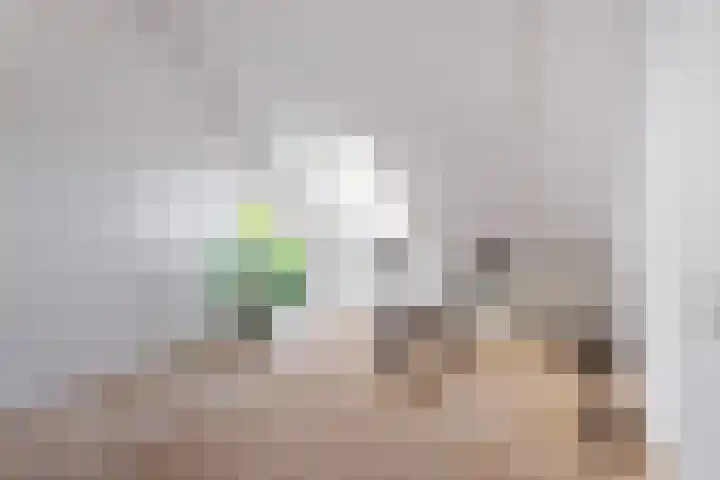Wieldraaierlaan 24 Oldenzaal thumbnail 16