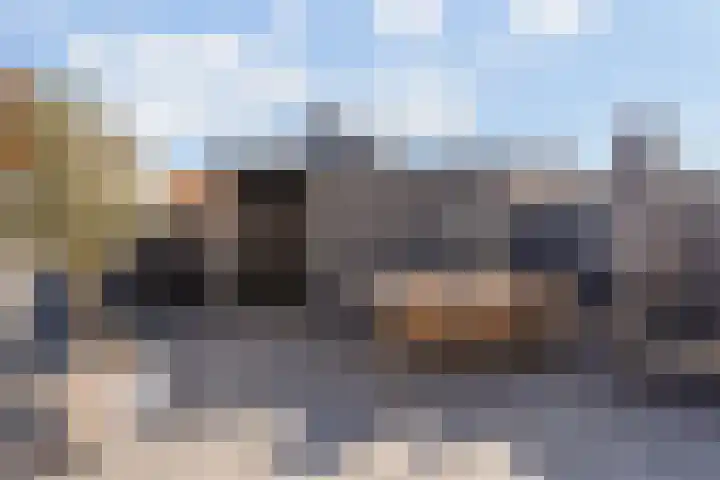 Wieldraaierlaan 24 Oldenzaal thumbnail 19