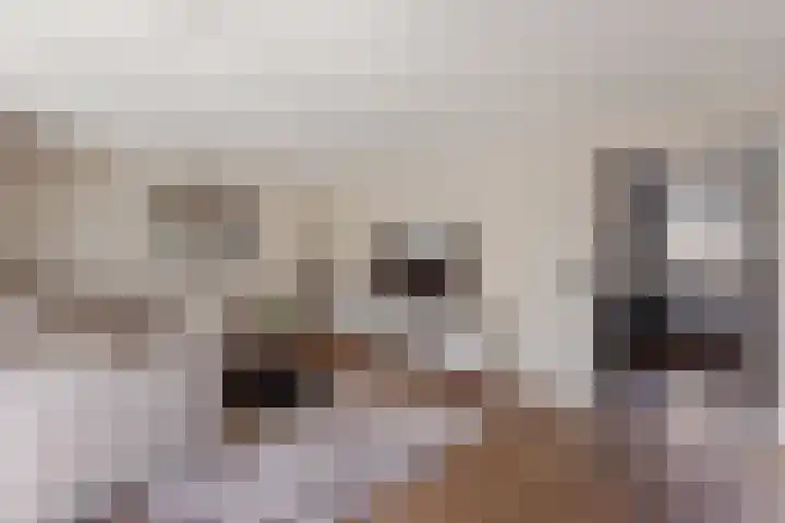 Wieldraaierlaan 24 Oldenzaal thumbnail 8