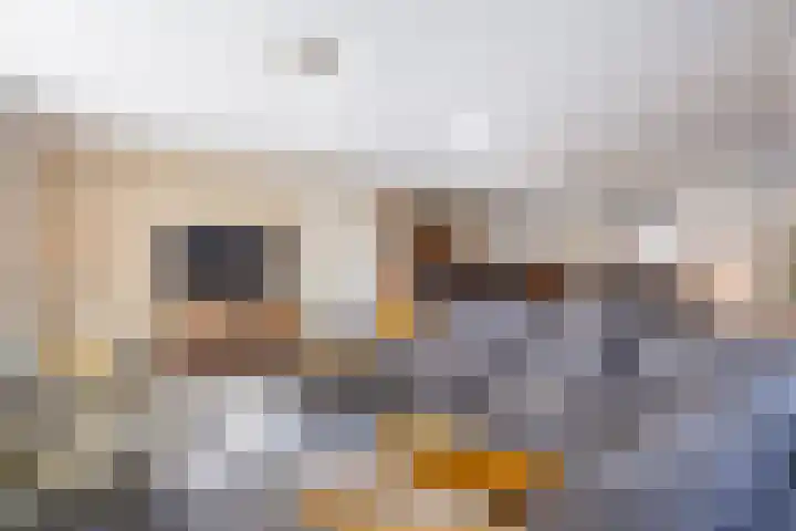 Wieldraaierlaan 5 Oldenzaal thumbnail 12