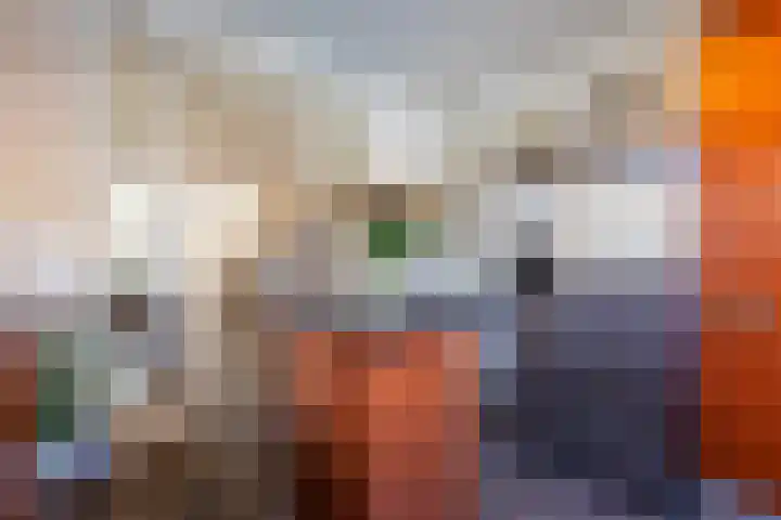 Wieldraaierlaan 5 Oldenzaal thumbnail 23
