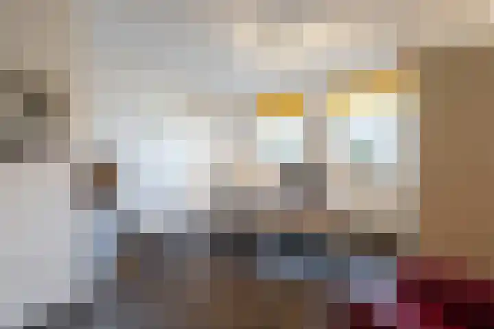 Wieldraaierlaan 5 Oldenzaal thumbnail 25