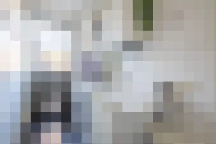 Wieldraaierlaan 5 Oldenzaal thumbnail 27