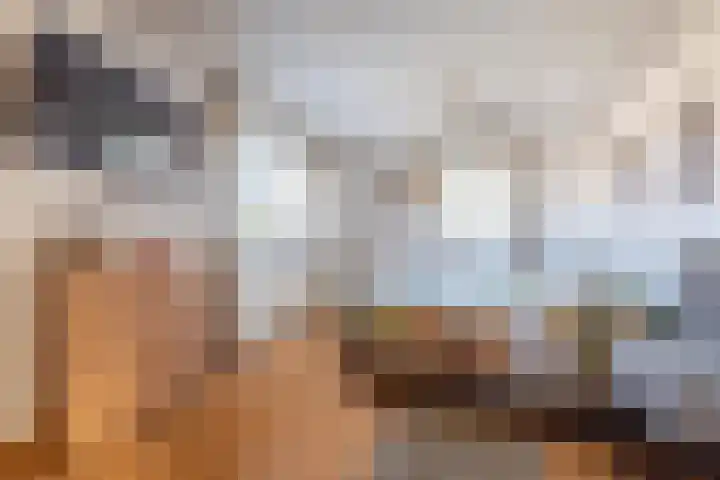 Wieldraaierlaan 5 Oldenzaal thumbnail 33