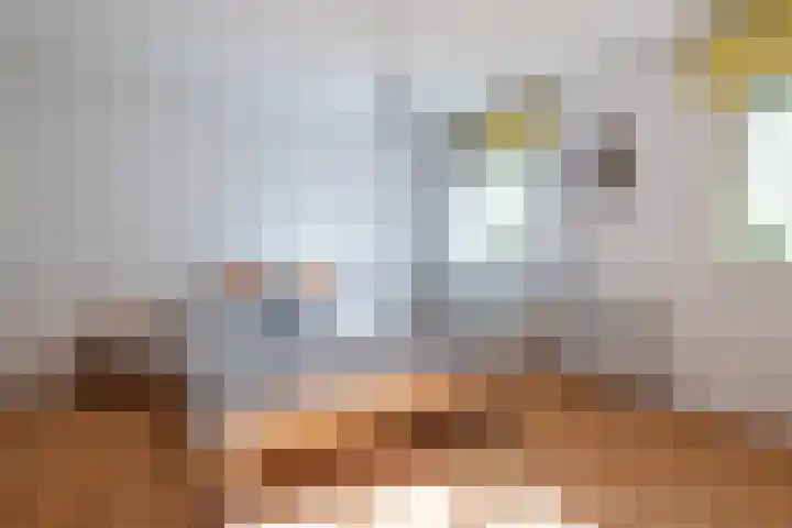 Wieldraaierlaan 5 Oldenzaal thumbnail 35