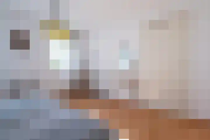 Wieldraaierlaan 5 Oldenzaal thumbnail 37