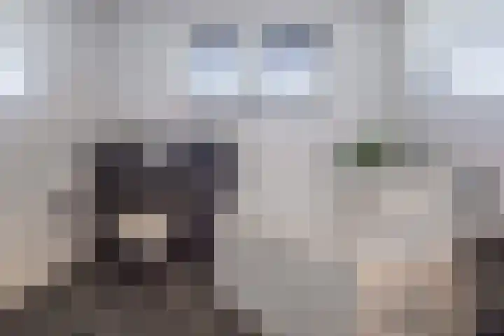 Wieldraaierlaan 5 Oldenzaal thumbnail 40