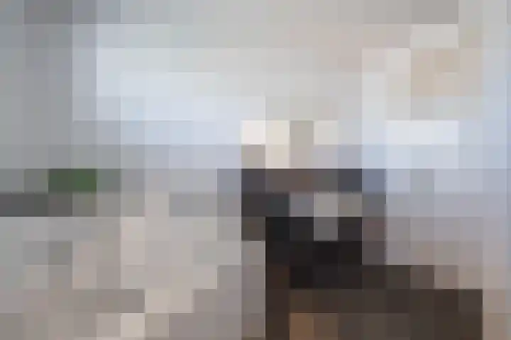 Wieldraaierlaan 5 Oldenzaal thumbnail 41