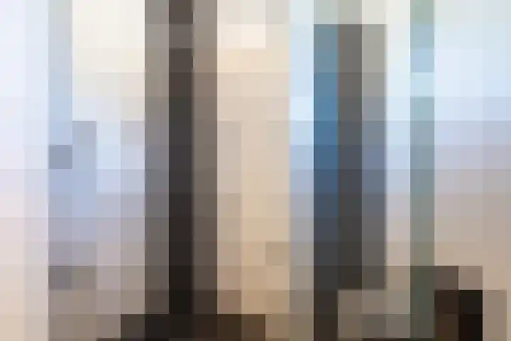 Wieldraaierlaan 5 Oldenzaal thumbnail 42