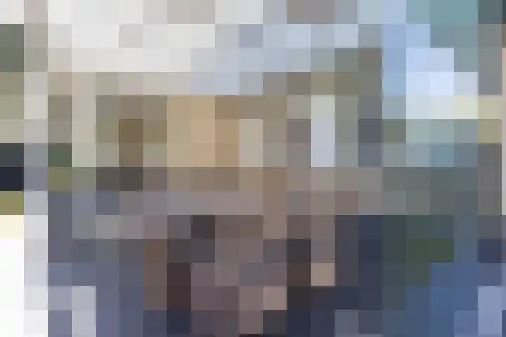 Wieldraaierlaan 5 Oldenzaal thumbnail 54