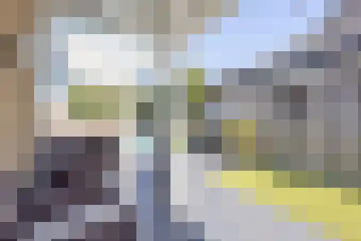 Wieldraaierlaan 5 Oldenzaal thumbnail 57