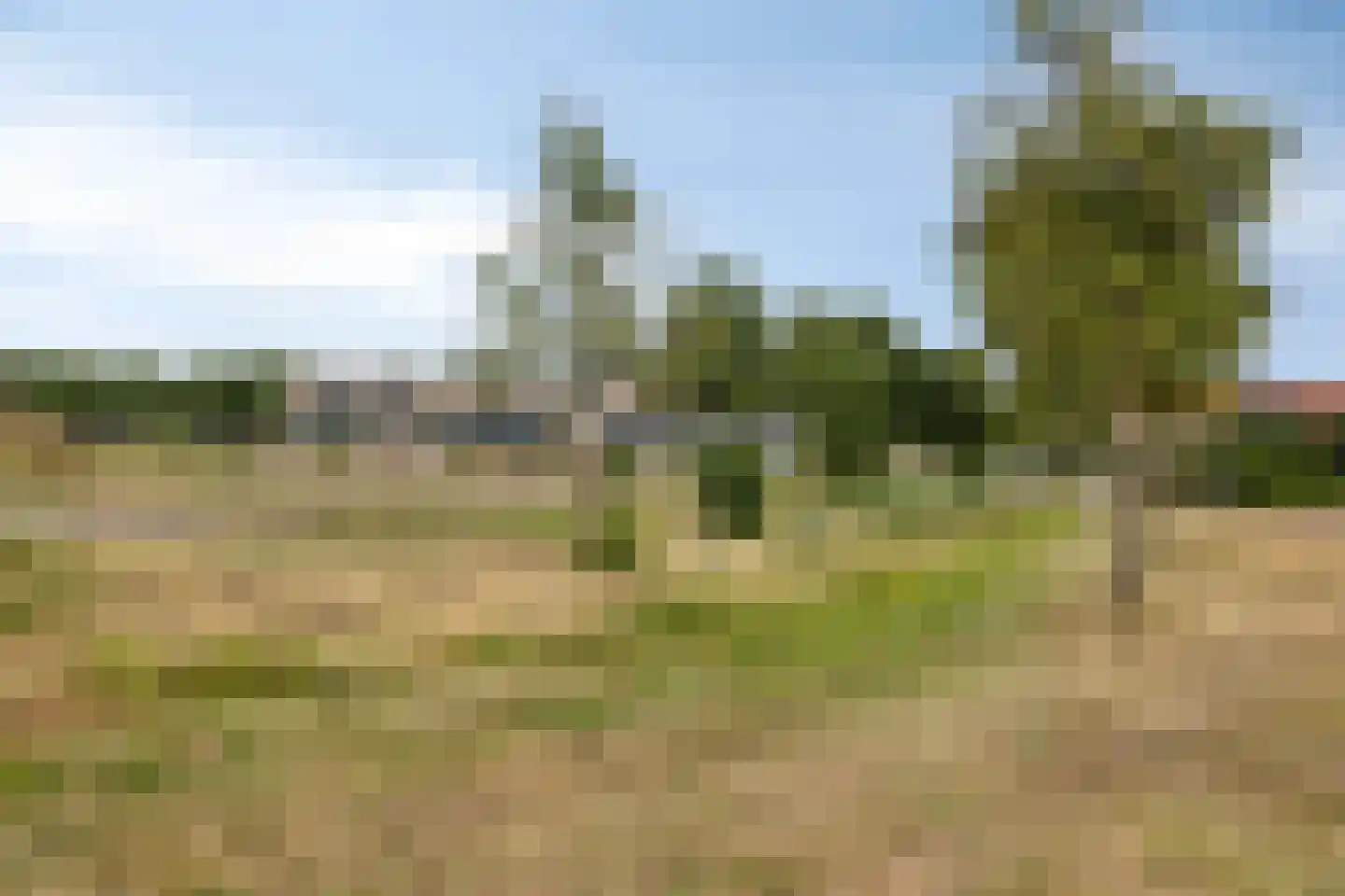 Wieldraaierlaan 53 Oldenzaal thumbnail 39