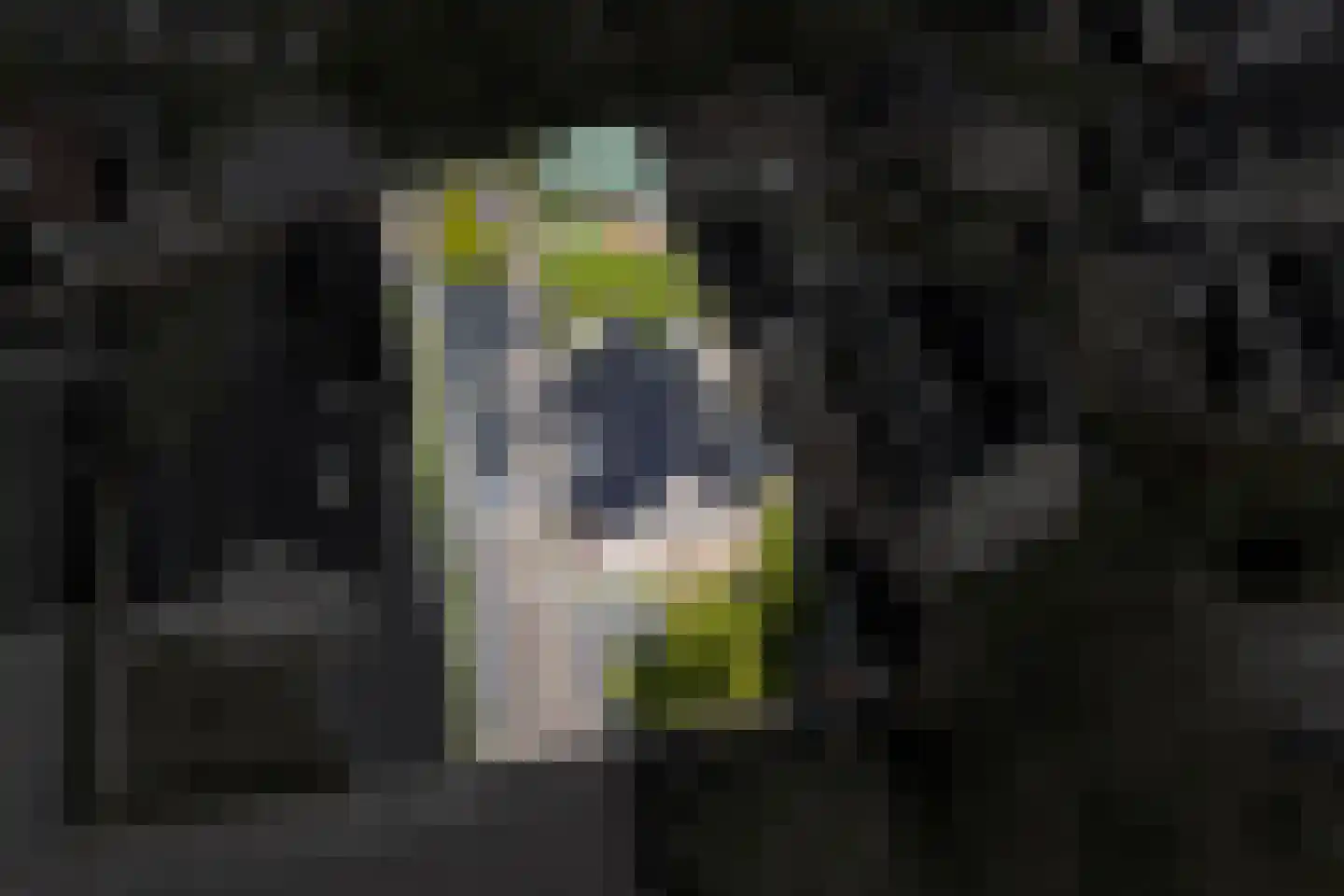 Wieldraaiersteeg 1 Eelde thumbnail 10