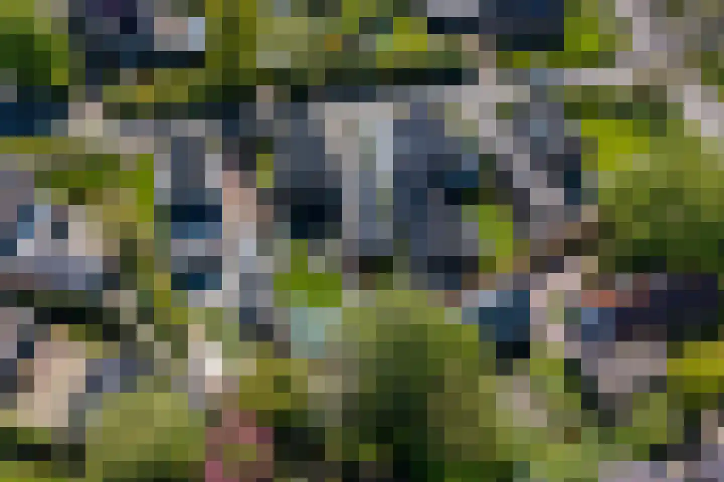 Wieldraaiersteeg 1 Eelde thumbnail 100
