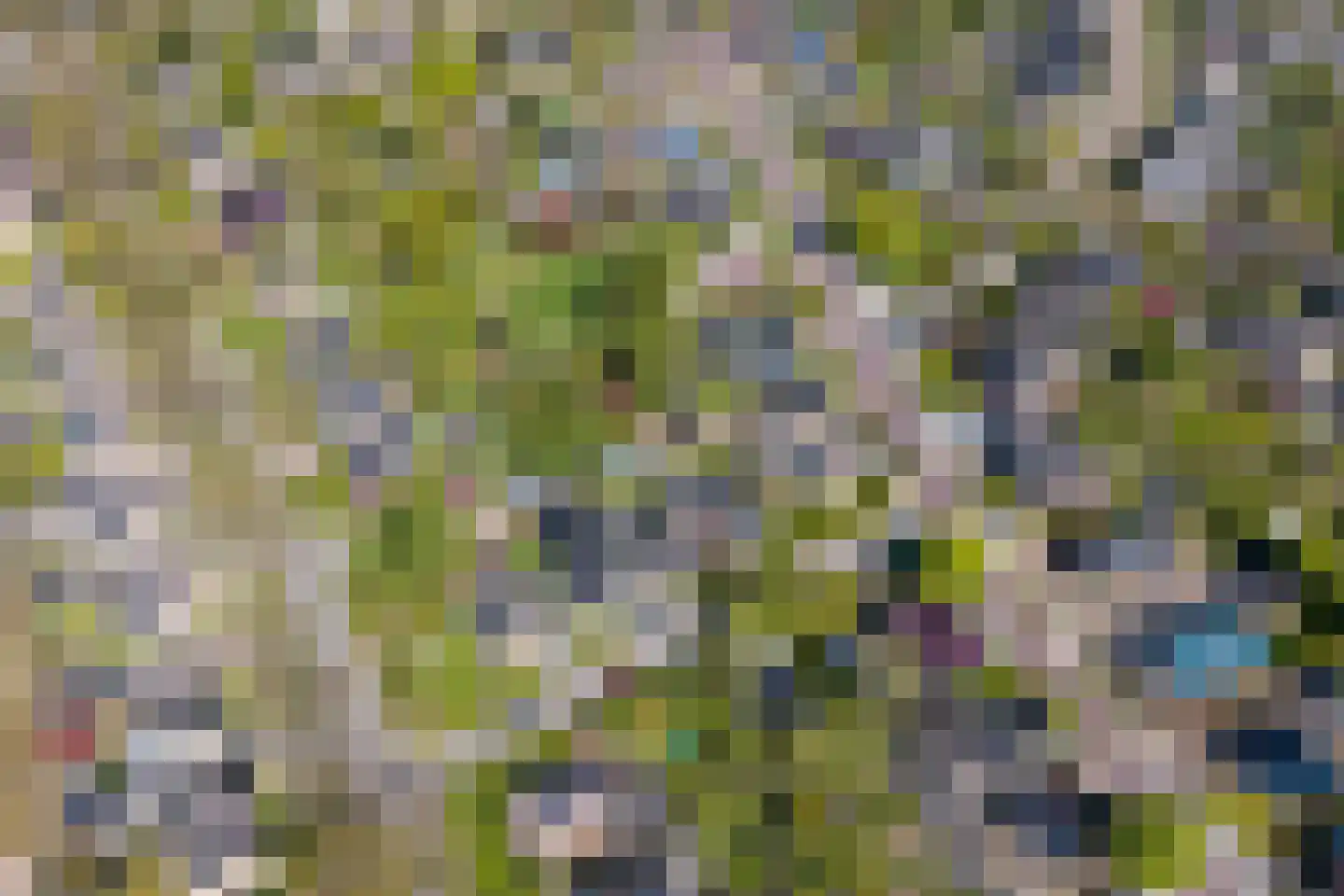 Wieldraaiersteeg 1 Eelde thumbnail 101