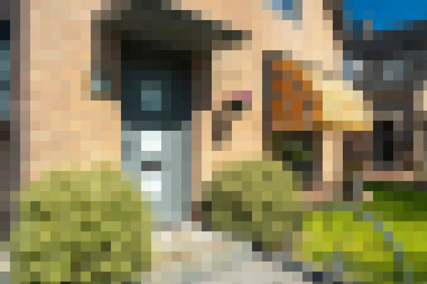 Wieldraaiersteeg 1 Eelde thumbnail 16