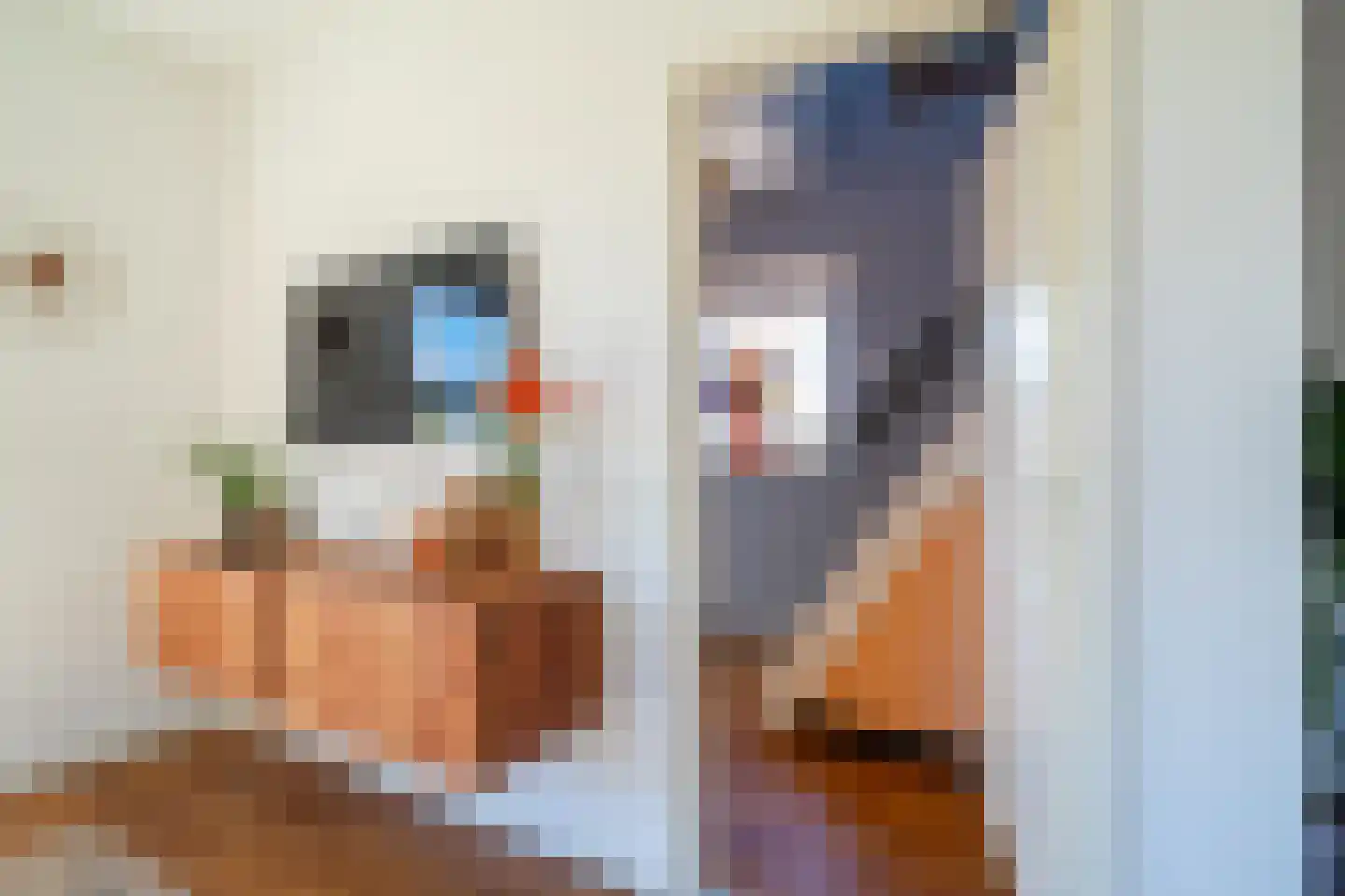Wieldraaiersteeg 1 Eelde thumbnail 19