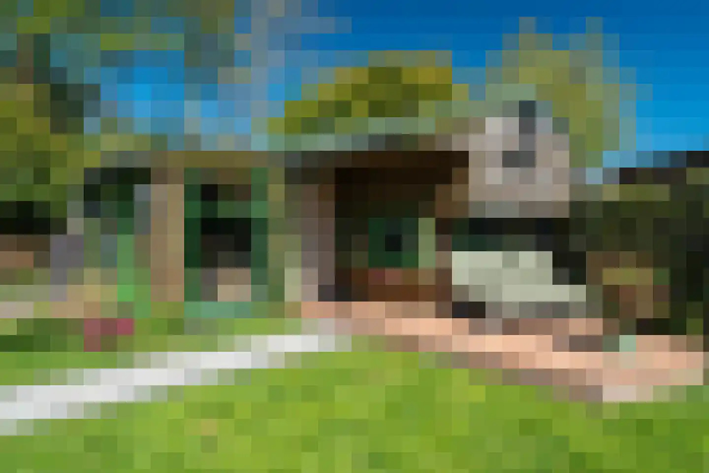 Wieldraaiersteeg 1 Eelde foto 3