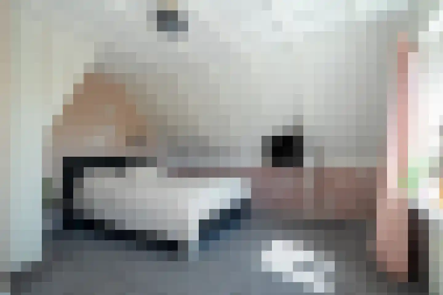 Wieldraaiersteeg 1 Eelde thumbnail 53