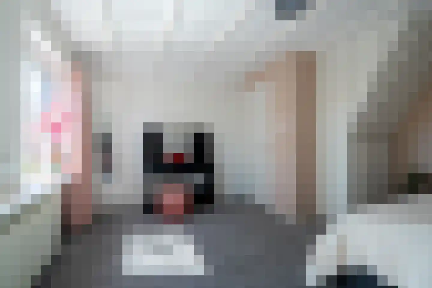 Wieldraaiersteeg 1 Eelde thumbnail 56