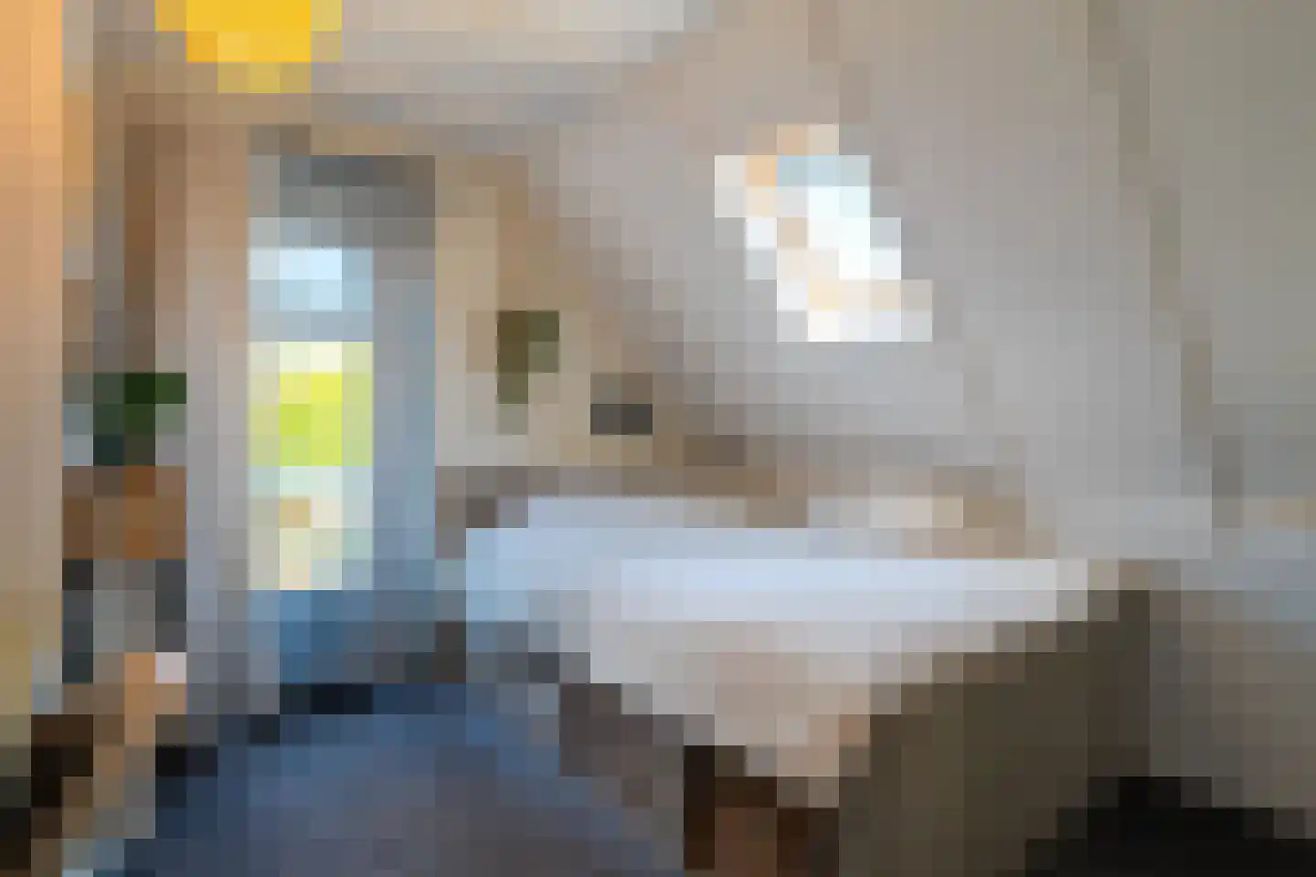 Wieldraaiersteeg 1 Eelde thumbnail 57