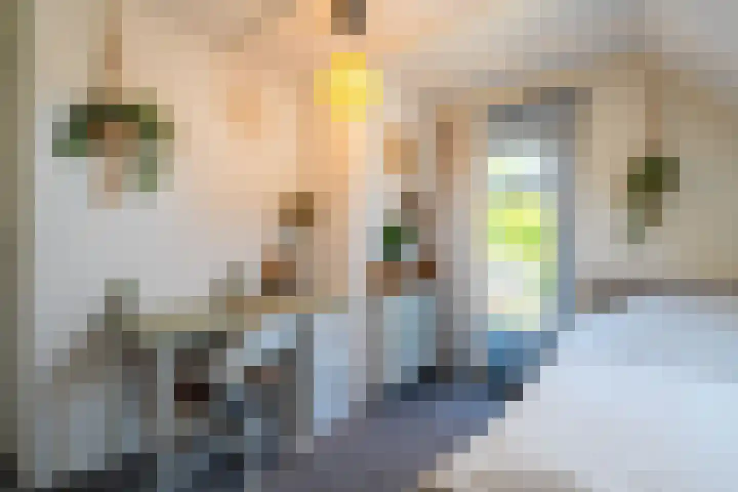 Wieldraaiersteeg 1 Eelde thumbnail 58