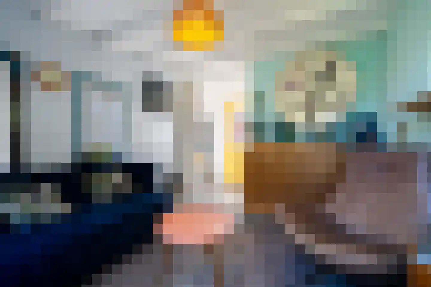 Wieldraaiersteeg 1 Eelde thumbnail 72