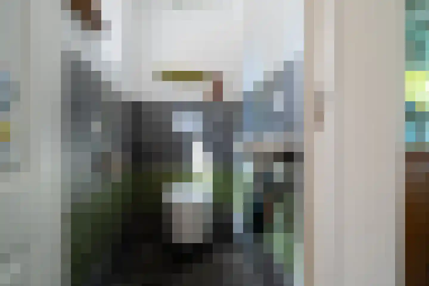 Wieldraaiersteeg 1 Eelde thumbnail 75