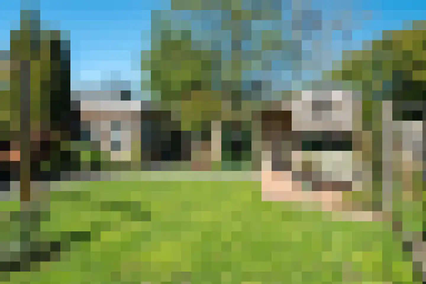 Wieldraaiersteeg 1 Eelde thumbnail 78