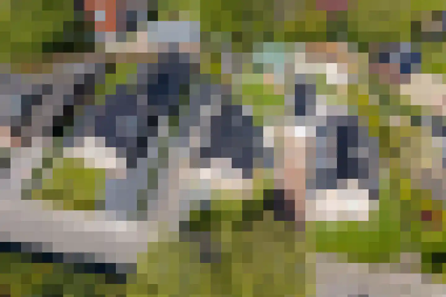 Wieldraaiersteeg 1 Eelde thumbnail 99