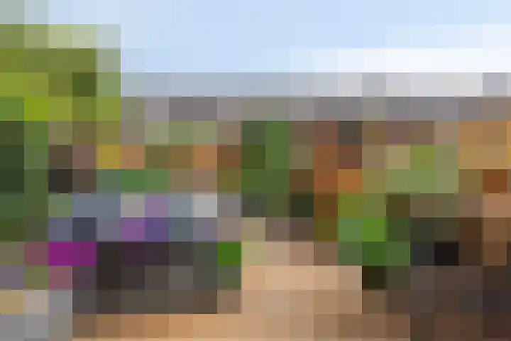 Wieldraaierstraat 22 Delfgauw thumbnail 12