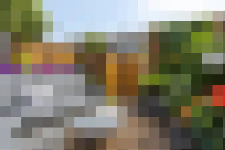 Wieldraaierstraat 22 Delfgauw thumbnail 13