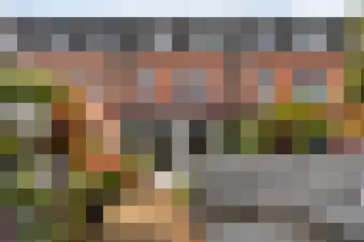 Wieldraaierstraat 22 Delfgauw thumbnail 15