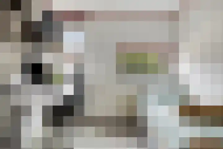 Wieldraaierstraat 22 Delfgauw thumbnail 18