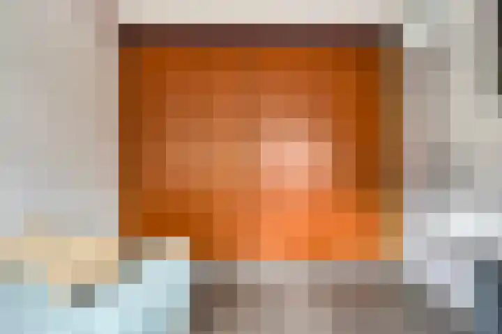 Wieldraaierstraat 22 Delfgauw thumbnail 19