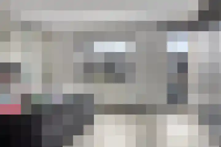 Wieldraaierstraat 22 Delfgauw thumbnail 20