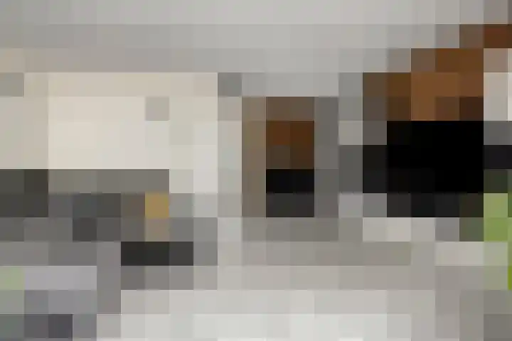 Wieldraaierstraat 22 Delfgauw thumbnail 5