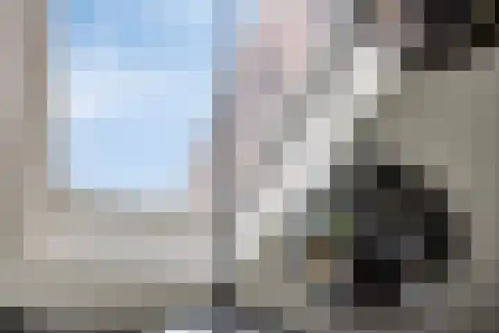 Wieldraaierstraat 22 Delfgauw thumbnail 8