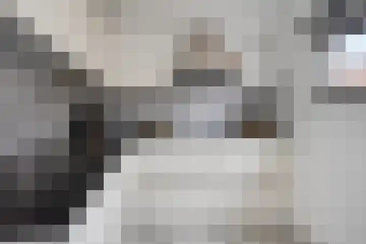 Wieldraaierstraat 22 Delfgauw thumbnail 9