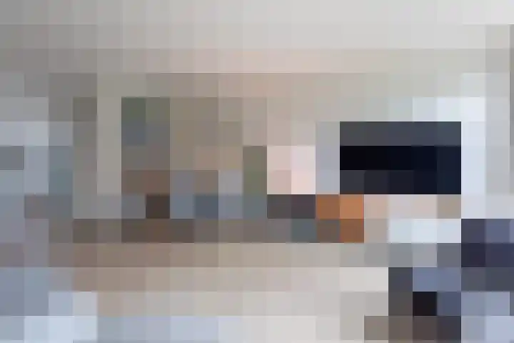 Wieldraaierstraat 24 Delfgauw thumbnail 10
