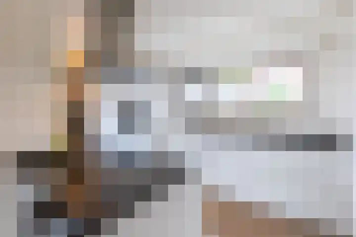 Wieldraaierstraat 24 Delfgauw thumbnail 11